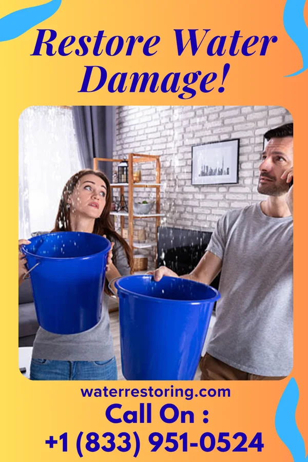 water restoration Water Mitigation Force Byrdstown