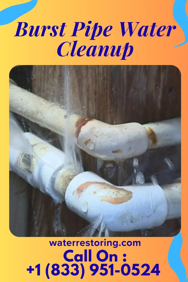Burst Pipe Water Cleanup in Byrdstown, TN