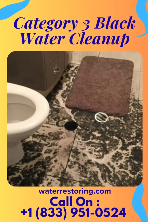 Category 3 Black Water Cleanup in Byrdstown, TN