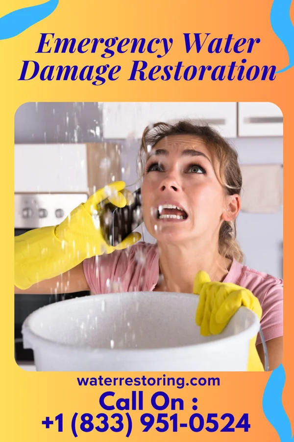 Emergency Water Damage Restoration in Byrdstown, TN