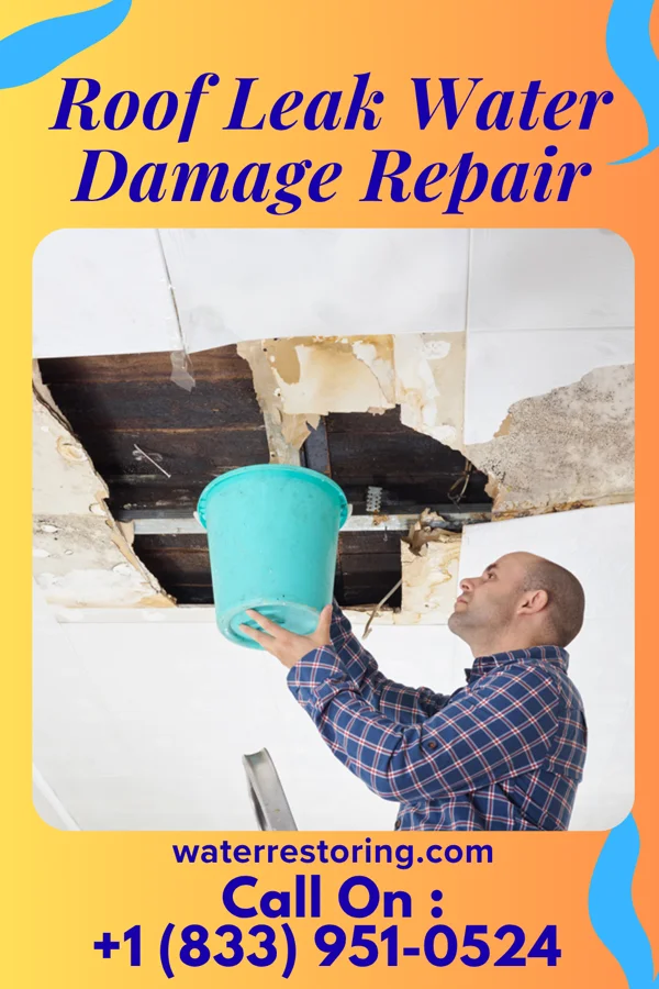 Roof Leak Water Damage Repair in Byrdstown, TN