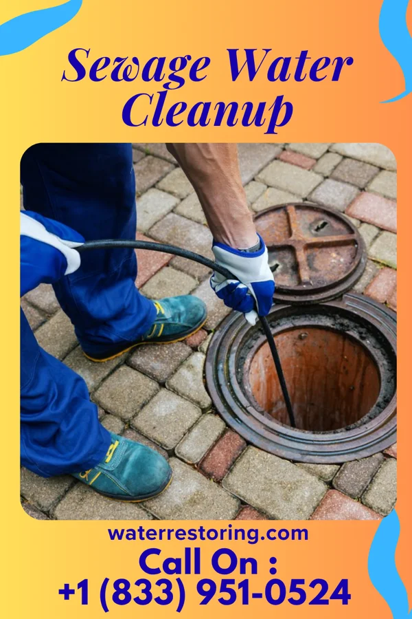 Sewage Water Cleanup in Byrdstown, TN