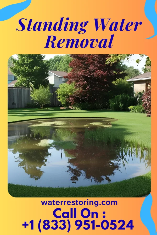 Standing Water Removal in Byrdstown, TN